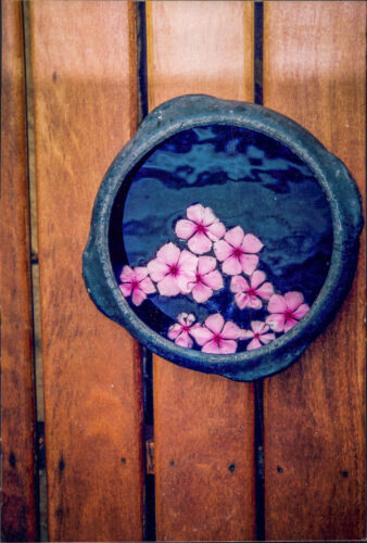 flowers in bowl Casas Brancas Buzios Brazil