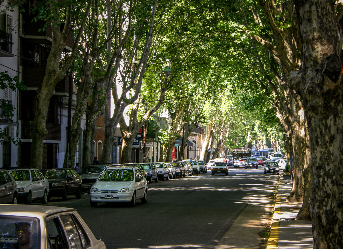 Palermo Soho Buenos Aires street