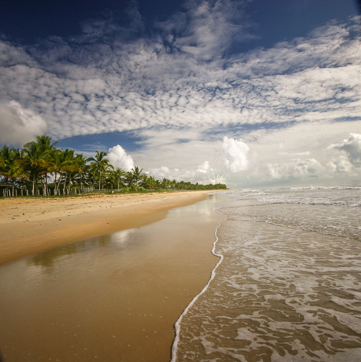 Bahia coast Trancoso