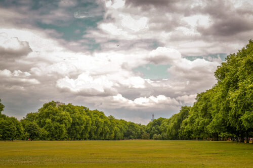 Kensington Gardens open field