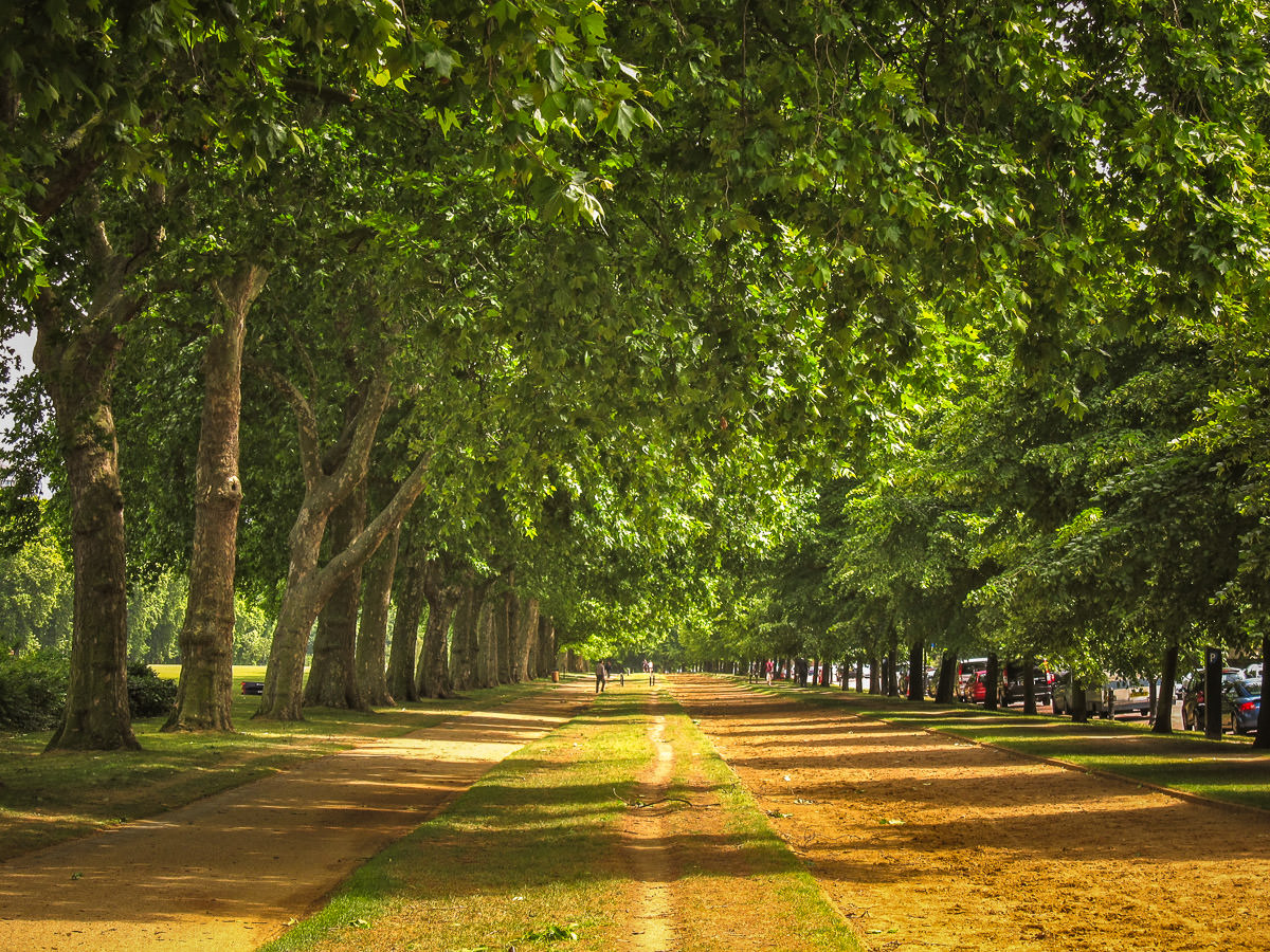 Kensington Gardens horsepath