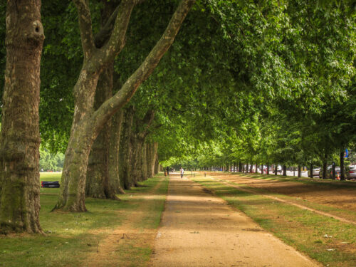 Kensington Gardens bridglepath