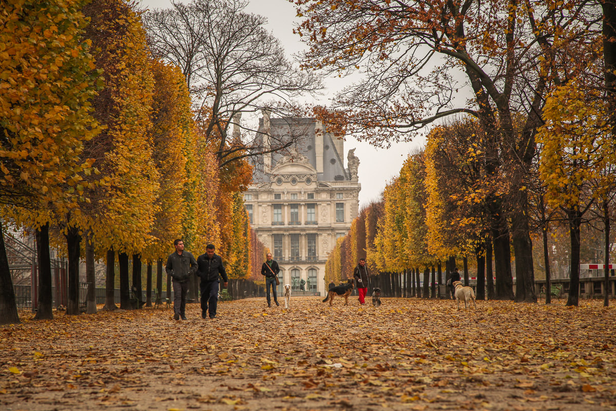 Jardin des Tuileries in fall