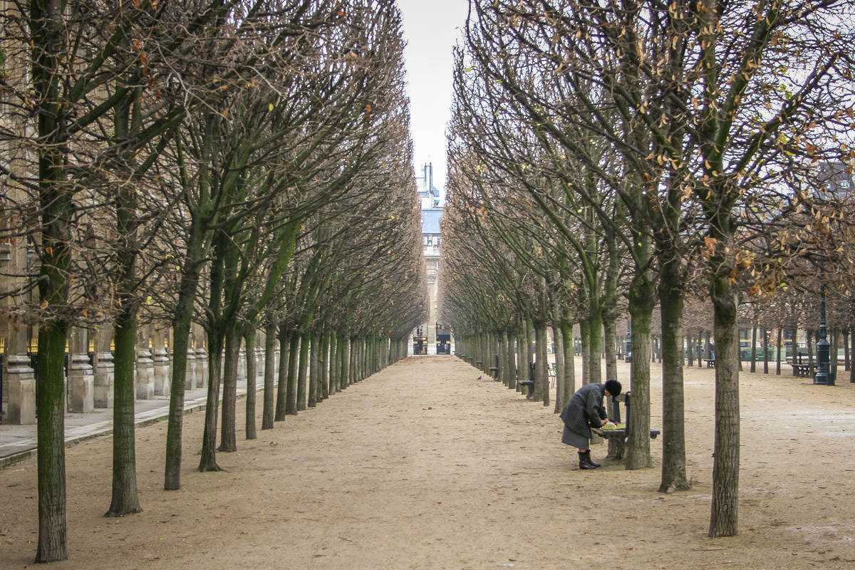 Jardin des Tuileries in winter