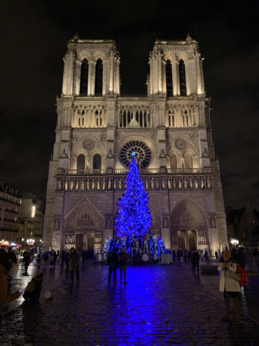 Notre-Dame Paris christmas tree
