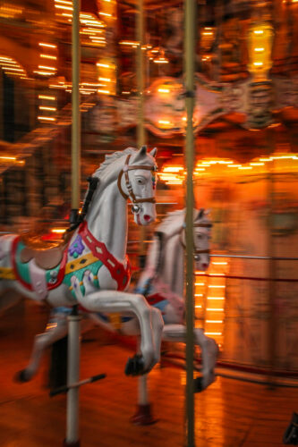 hotel de ville merry go round horse