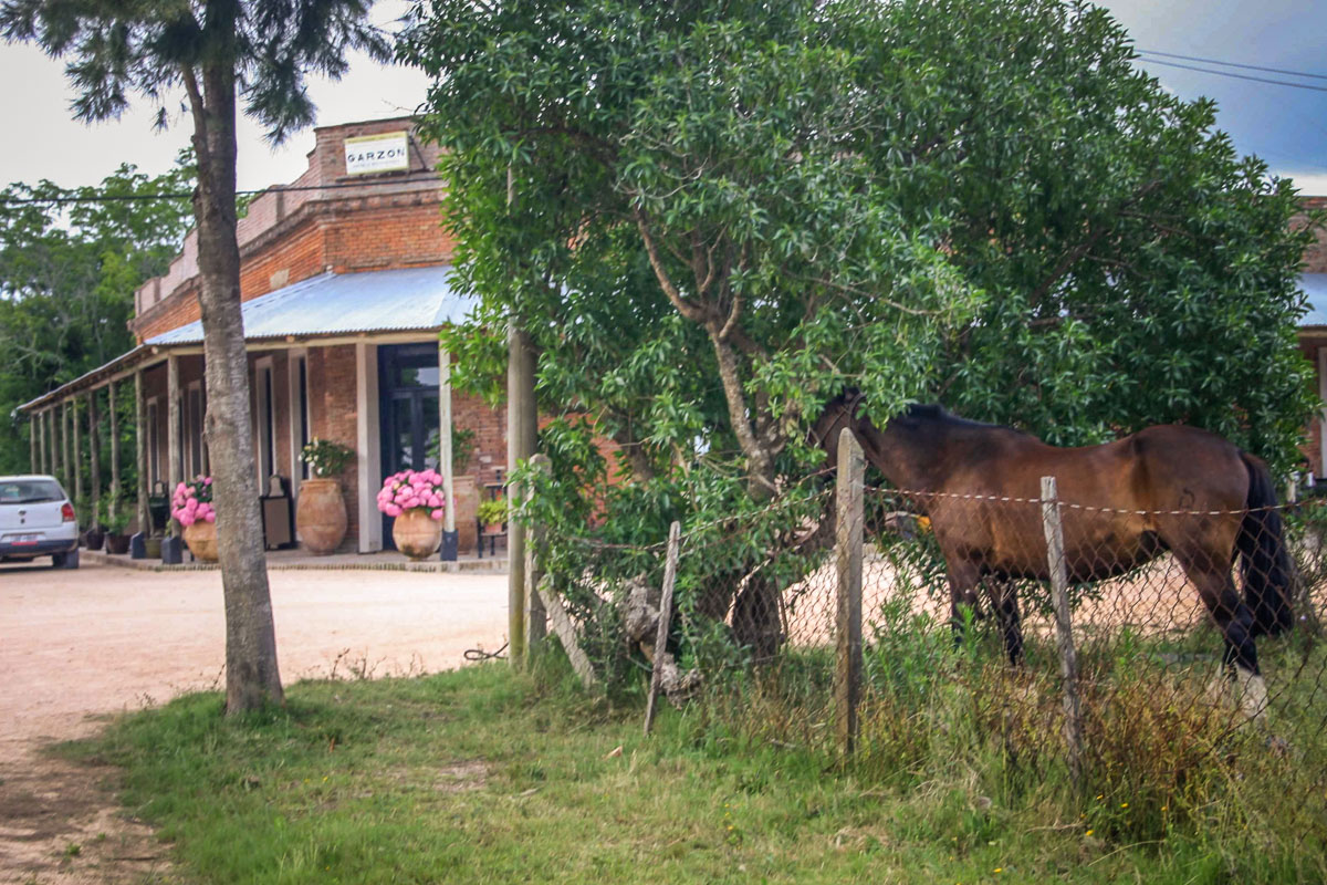 horse Pueblo Garzón