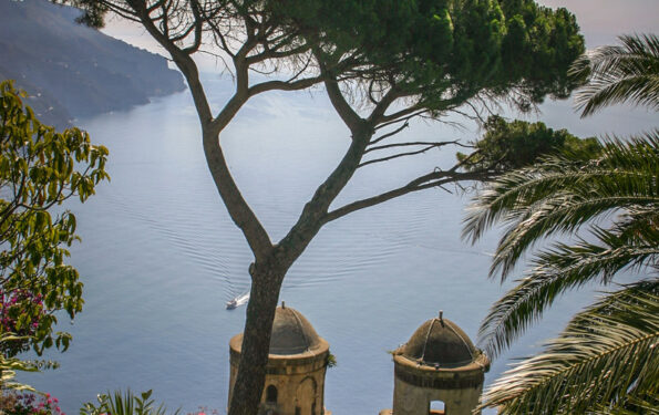 Ravello famous tree