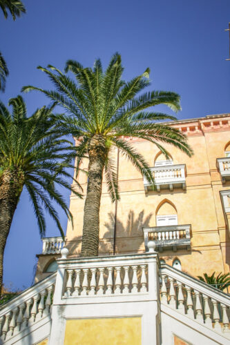 Palazzo Avino Ravello palm trees