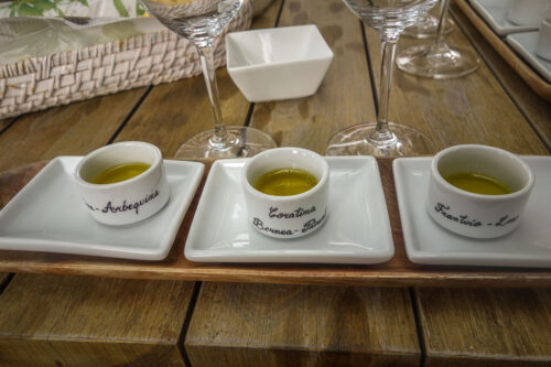 Bodega Garzón olive oil tasting