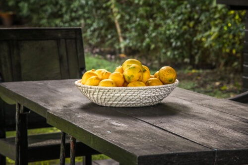 Hotel Garzón lemons