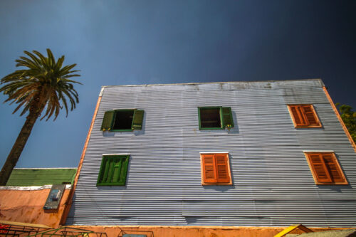 La Boca Buenos Aires building and palm tree