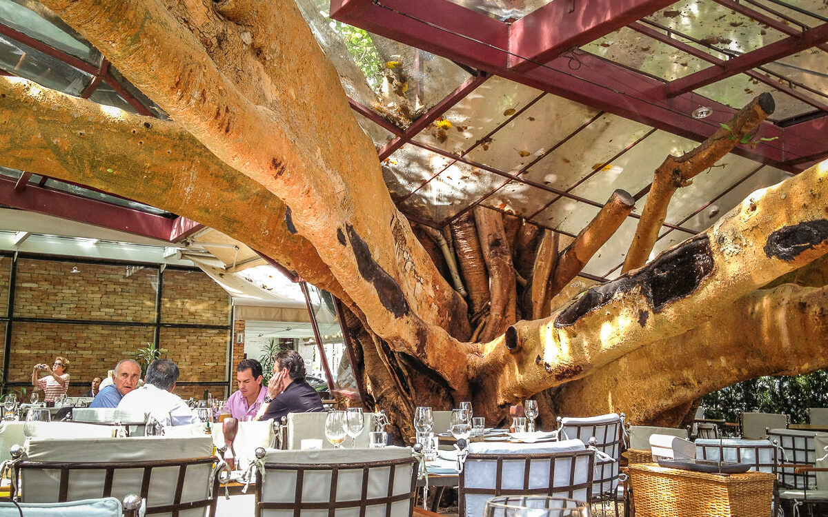 Figueirat Rubaiya restaurant under a tree