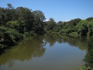 Parque Ibirapuera 2