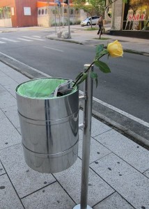 Jardins rose in trashcan