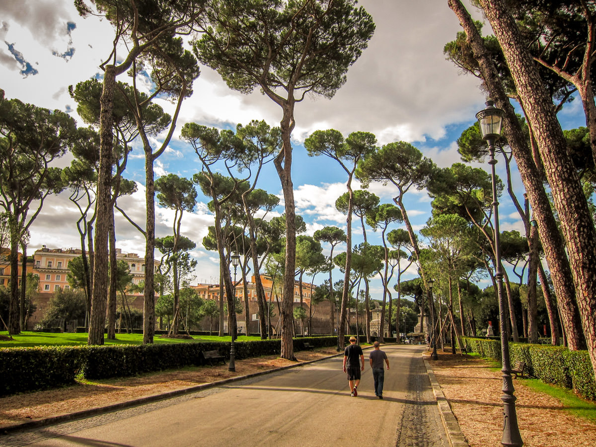Villa Borghese Gardens umbrella pines
