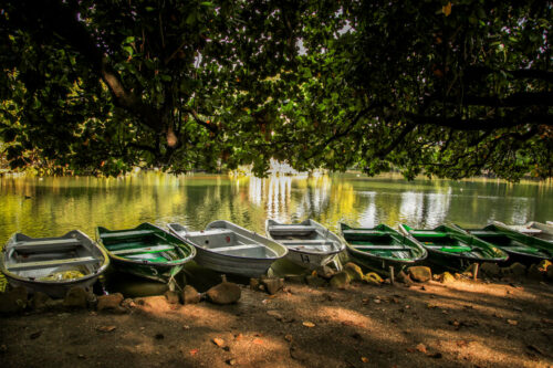 Villa Borghese Gardens boats on pond