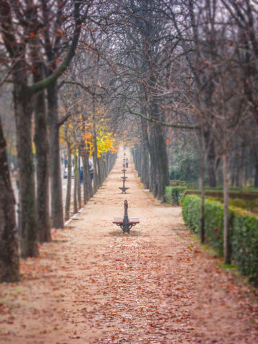 Parque del Buen Retiro park benches