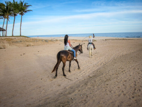 horseback riding Cabo San Lucas