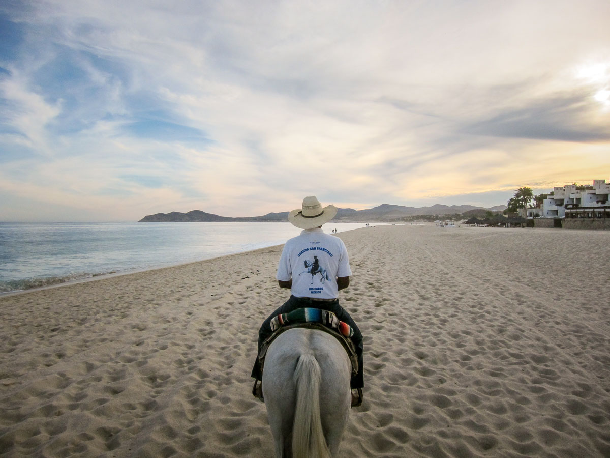 Cabo San Lucas horseback riding on beach