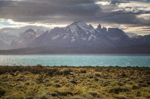 view of Lago Sarmiento from Tierra Patagonia