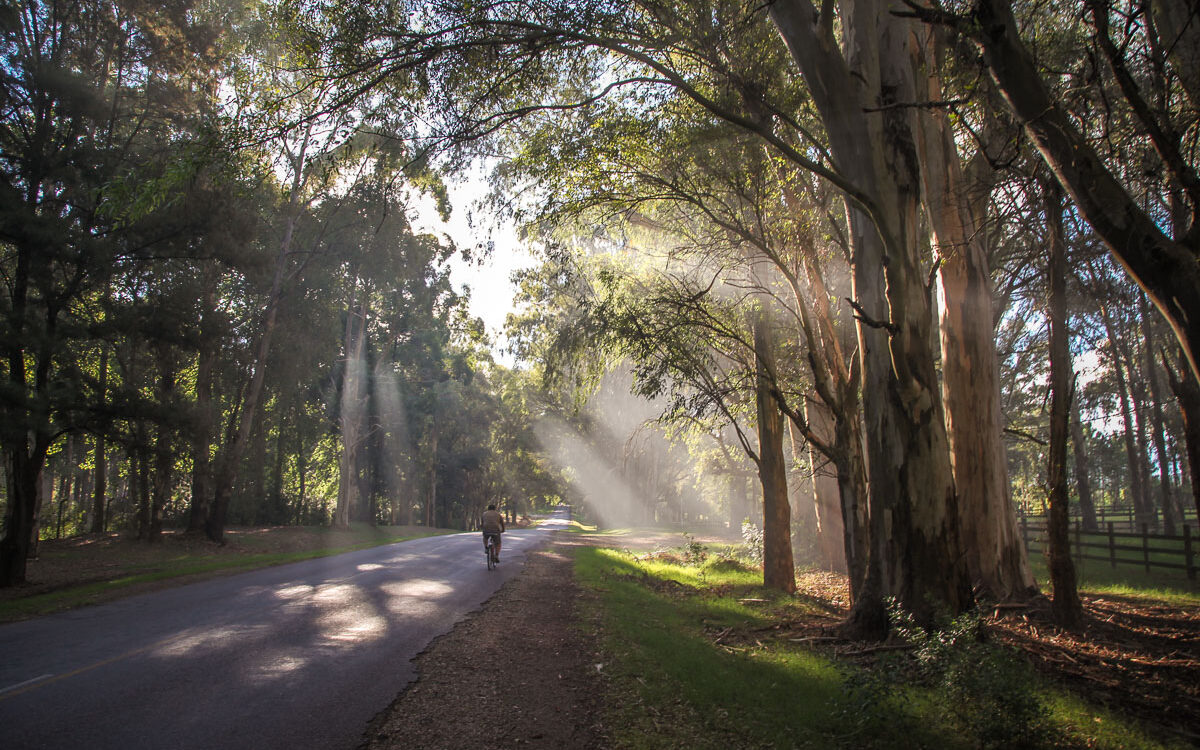 bike riding through Carmelo Uruguary