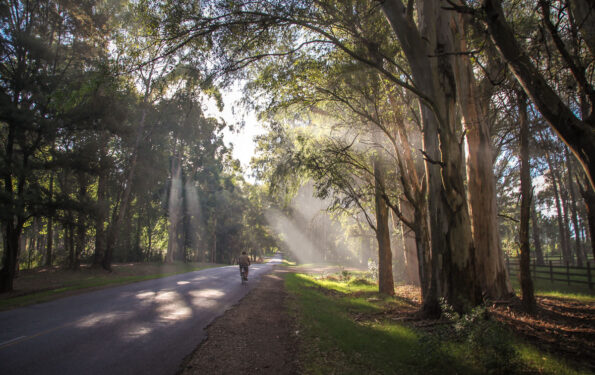 bike riding through Carmelo Uruguary