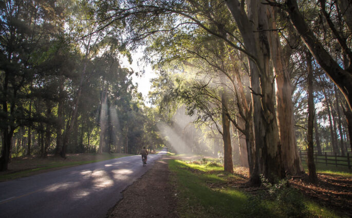 bike riding through Carmelo Uruguary