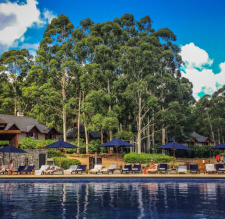 A LUXURY RESORT IN THE TALL PINES OF CARMELO URUGUAY