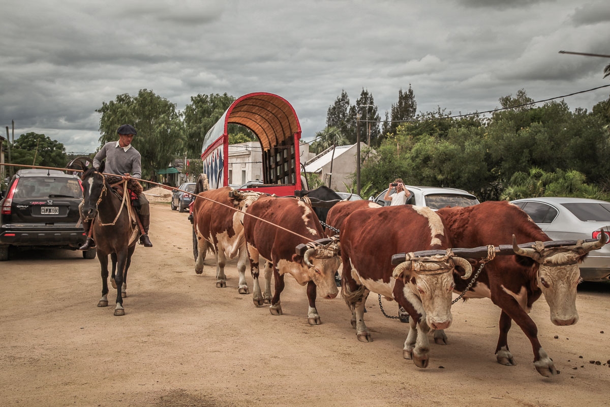 Garzón gaucho parade wagon