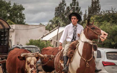 Garzón gaucho parade horse
