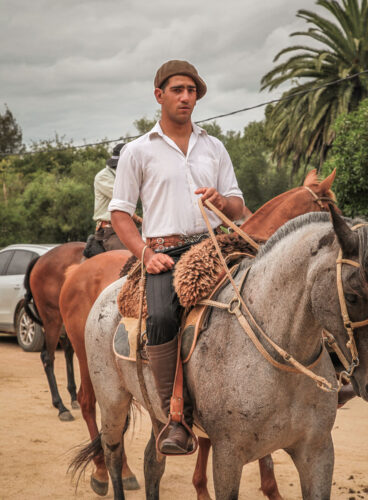 Carnival Garzón horse