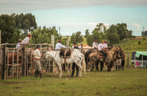 Carnival festa Garzón horses waiting