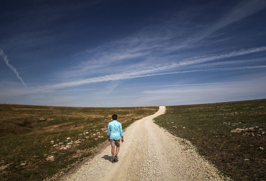 visit the TALLGRASS PRAIRIE NATIONAL PRESERVE