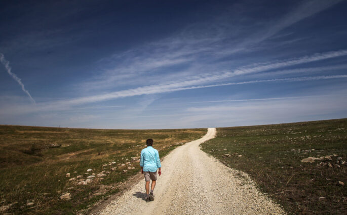 visit the TALLGRASS PRAIRIE NATIONAL PRESERVE