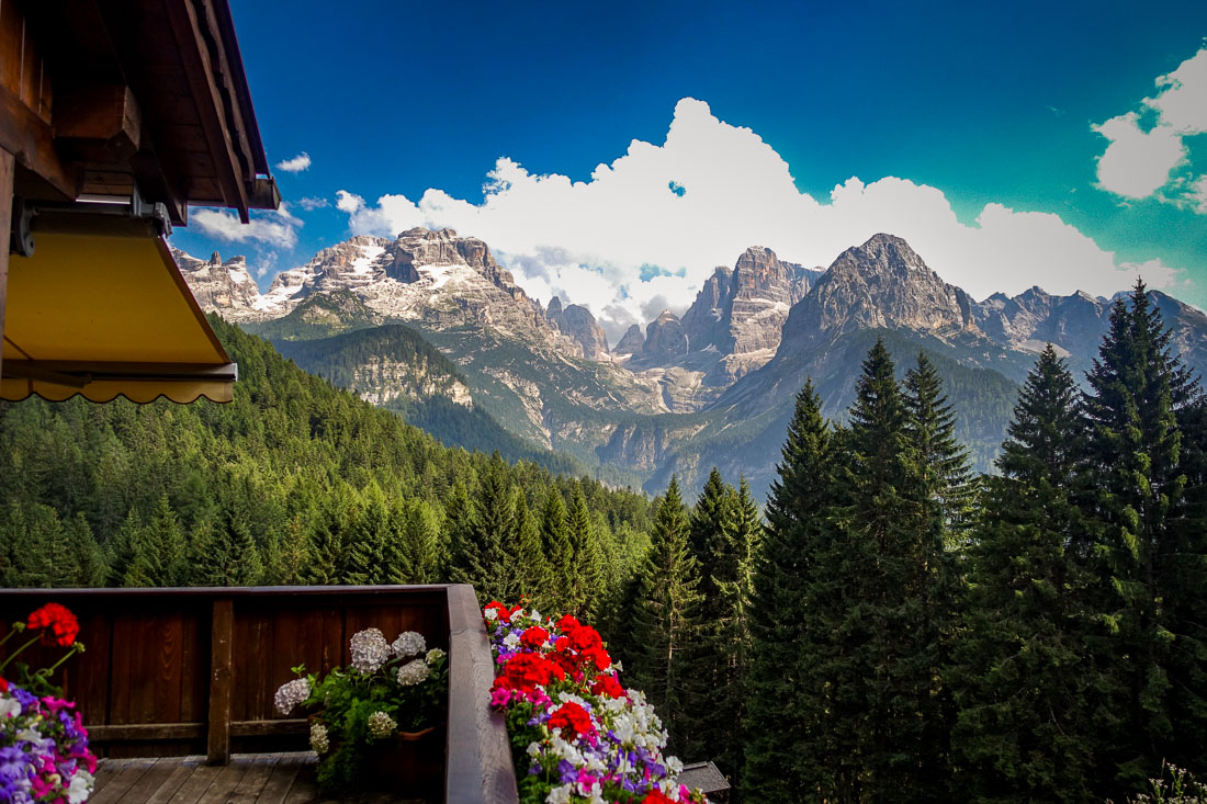 View of Brenta Range from Biohotel flowers