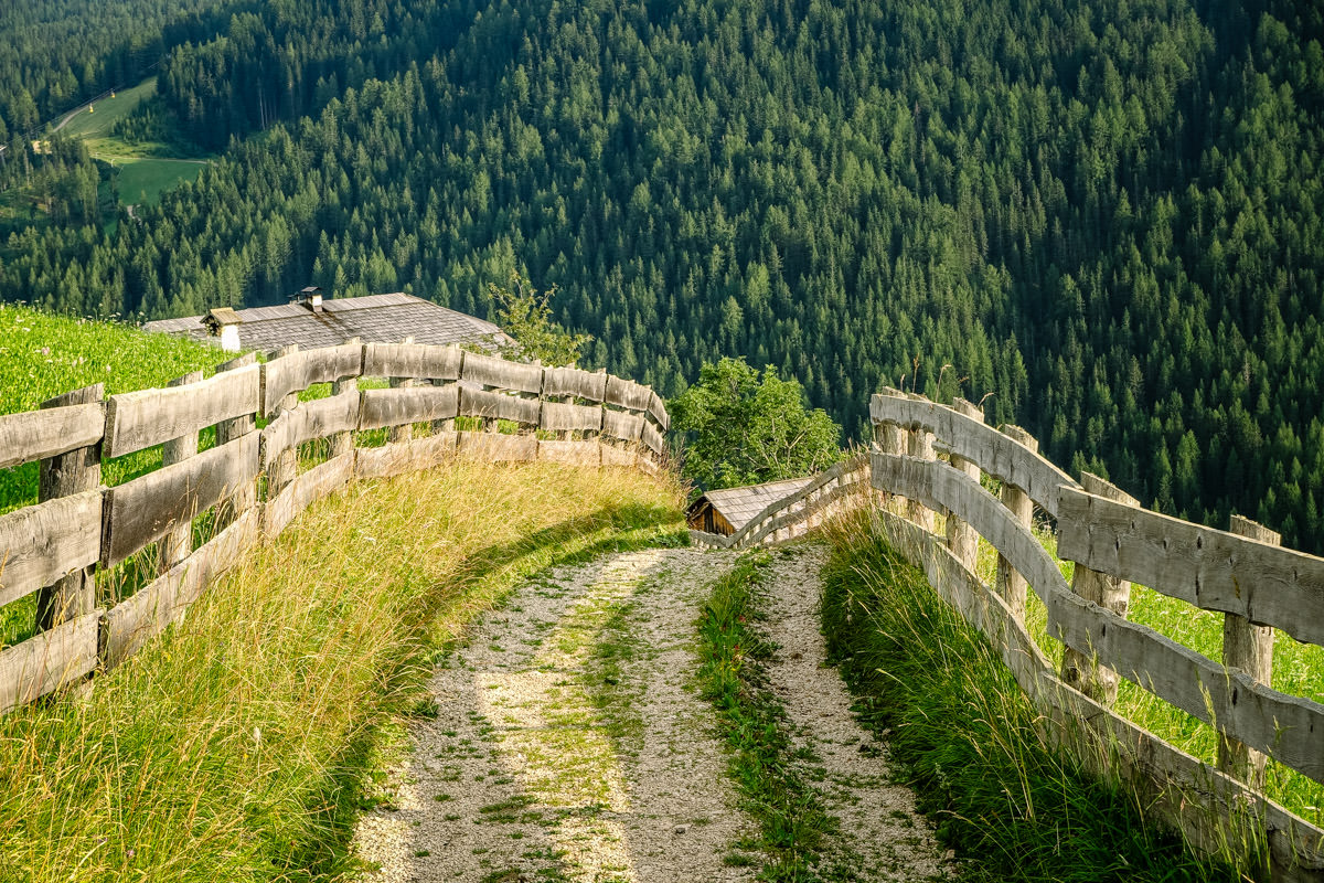 fences on trail above San Cassiano