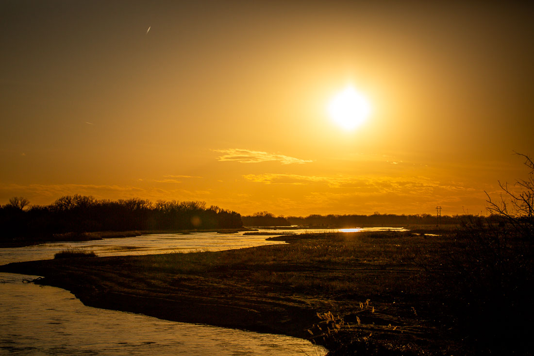 Sandhill Cranes Kearney Nebraska sun over Platte River