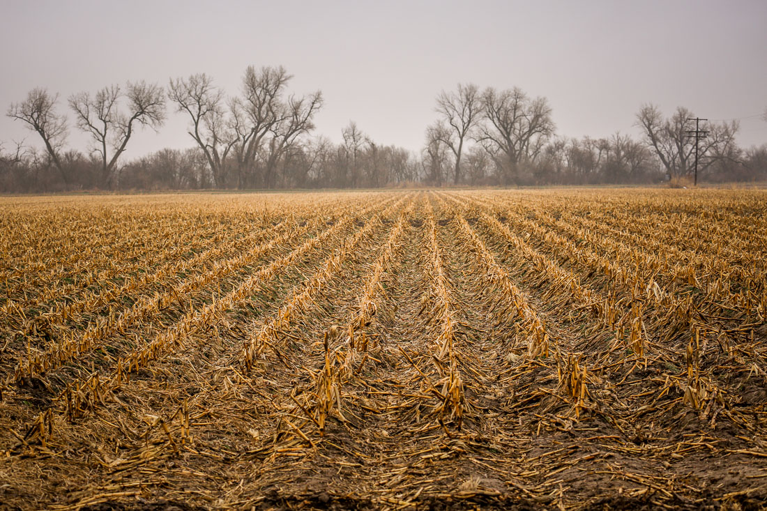 spring fields Kearney Nebraska