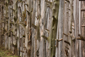 Audubon Rowe Center fence detail