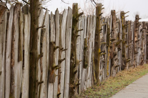 Audubon Rowe Center fence