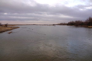 Sandhill cranes on the Platte River