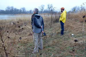 Sandhill cranes on the Platte River sunrise observers