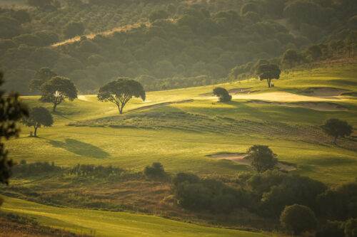Domaine de Murtoli golf course trees