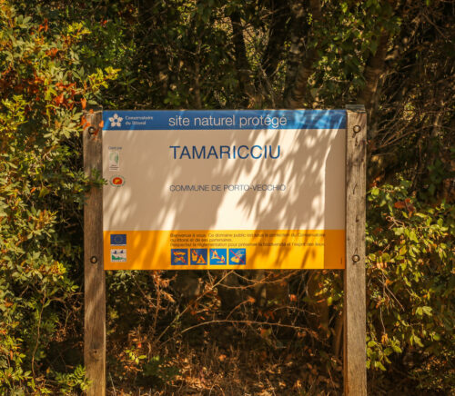 Tamaricciu sign