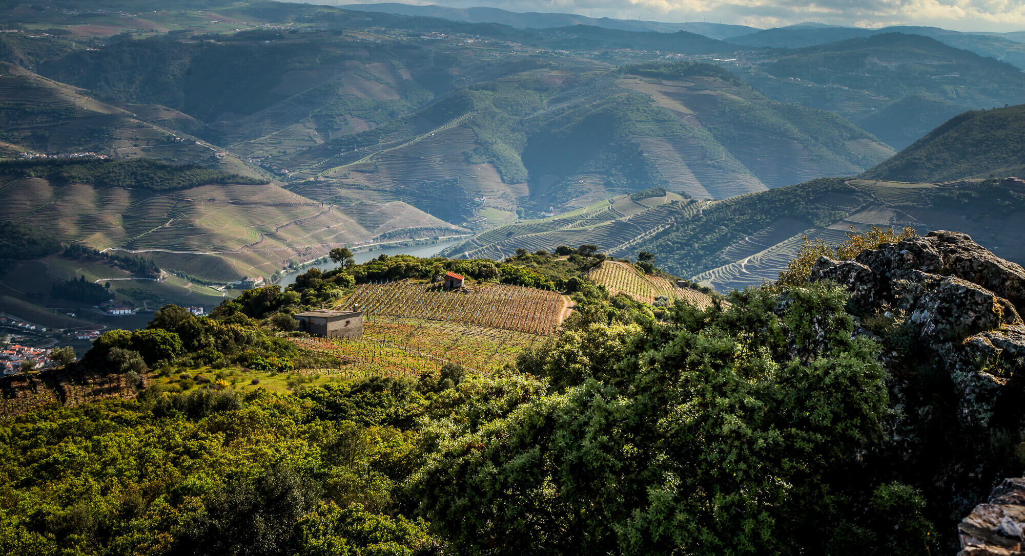 Douro Valley views