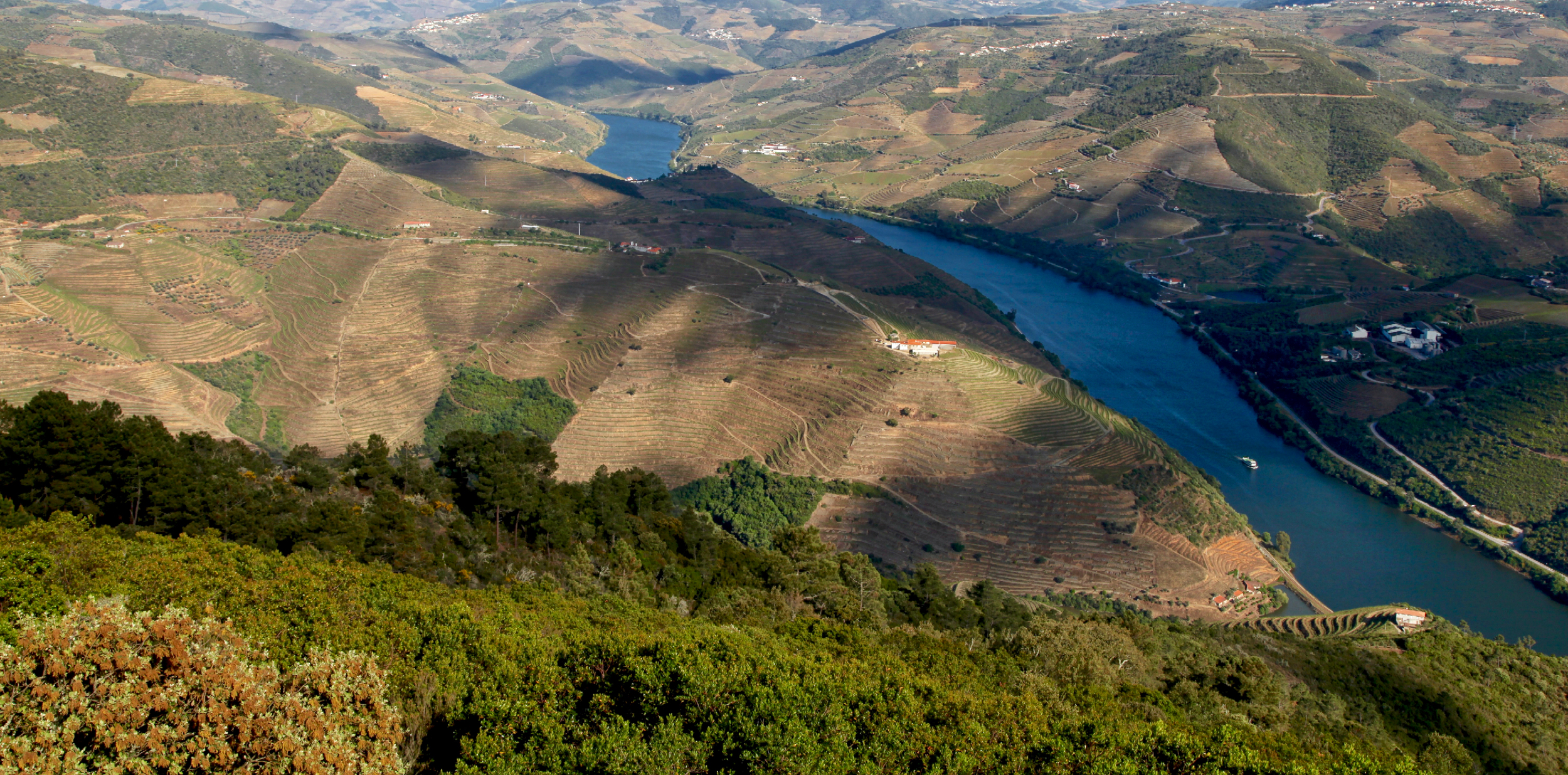 Douro Valley river