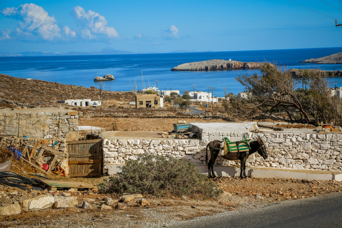 Donkey Folegandros port