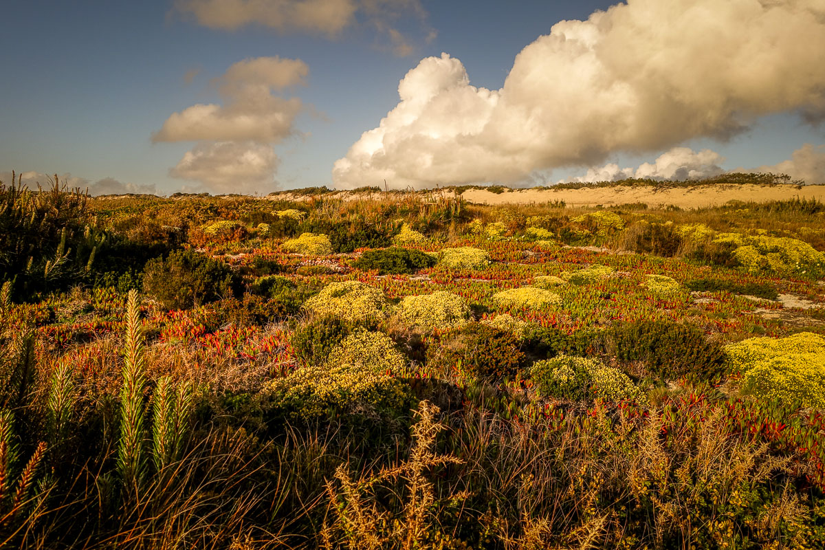 clouds over landscape Areias do Seixo