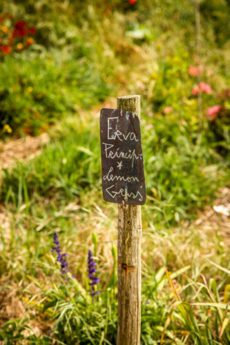 Areias do Seixo garden sign